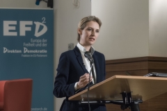 Eurokrise_26.1.17_1500px_2780423 Kopie