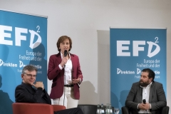 Eurokrise_26.1.17_1500px_2800156 Kopie